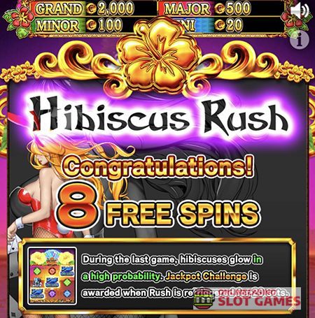 ハイビスカスラッシュ